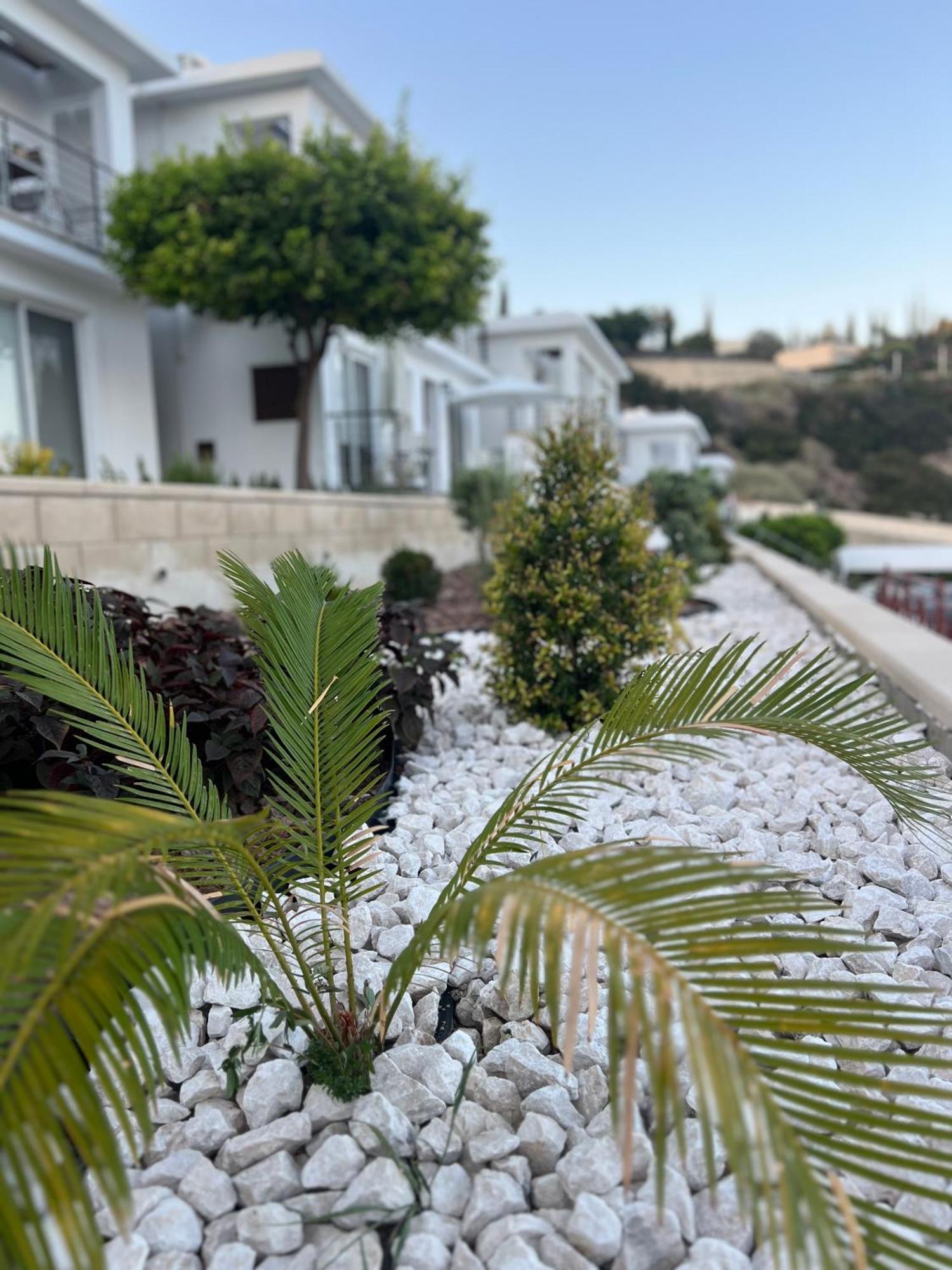 Pissouri Image Apartment Exterior foto